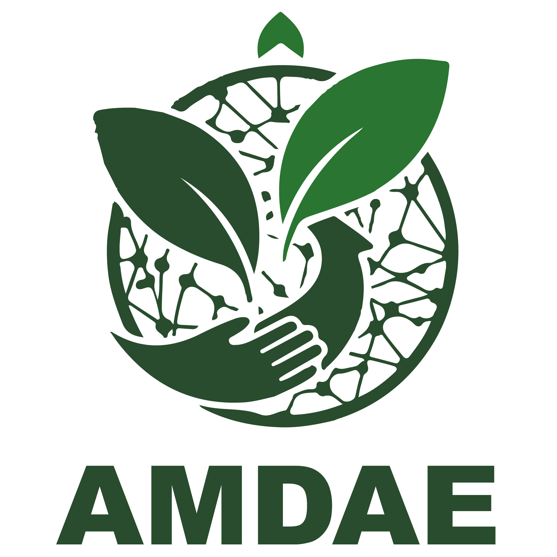 AMDAE